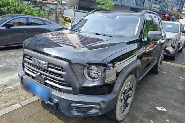 Used Haval DARGO 2024 2.0T DCT Chinese Rural Dog Edition