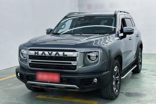 Used Haval DARGO 2024 2.0T DCT Chinese Rural Dog Edition