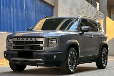 Used Haval DARGO 2024 2.0T DCT Chinese Rural Dog Edition