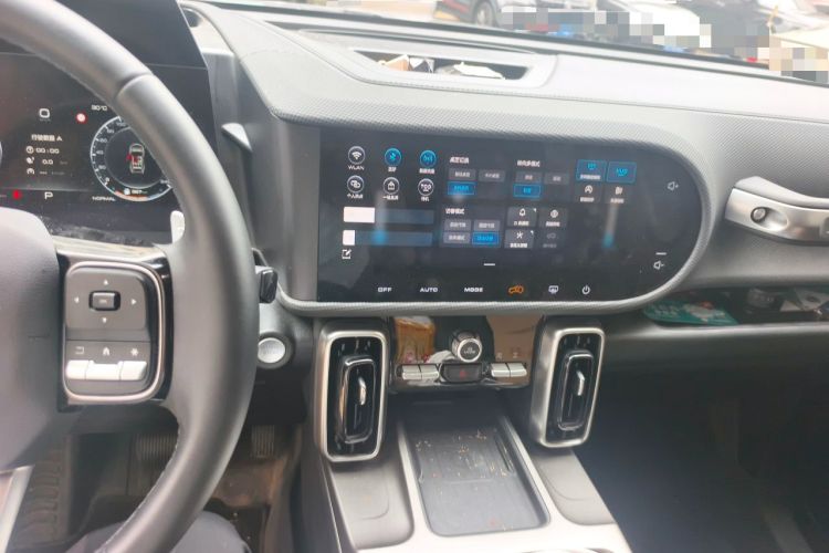 Used Haval DARGO 2024 2.0T DCT Chinese Rural Dog Edition Audio And AC Panel