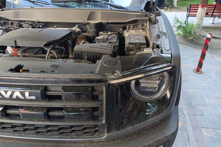 Used Haval DARGO 2024 2.0T DCT Chinese Rural Dog Edition Engine Bay Left