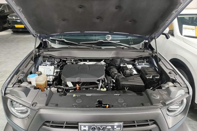 Used Haval DARGO 2024 2.0T DCT Chinese Rural Dog Edition Engine Bay