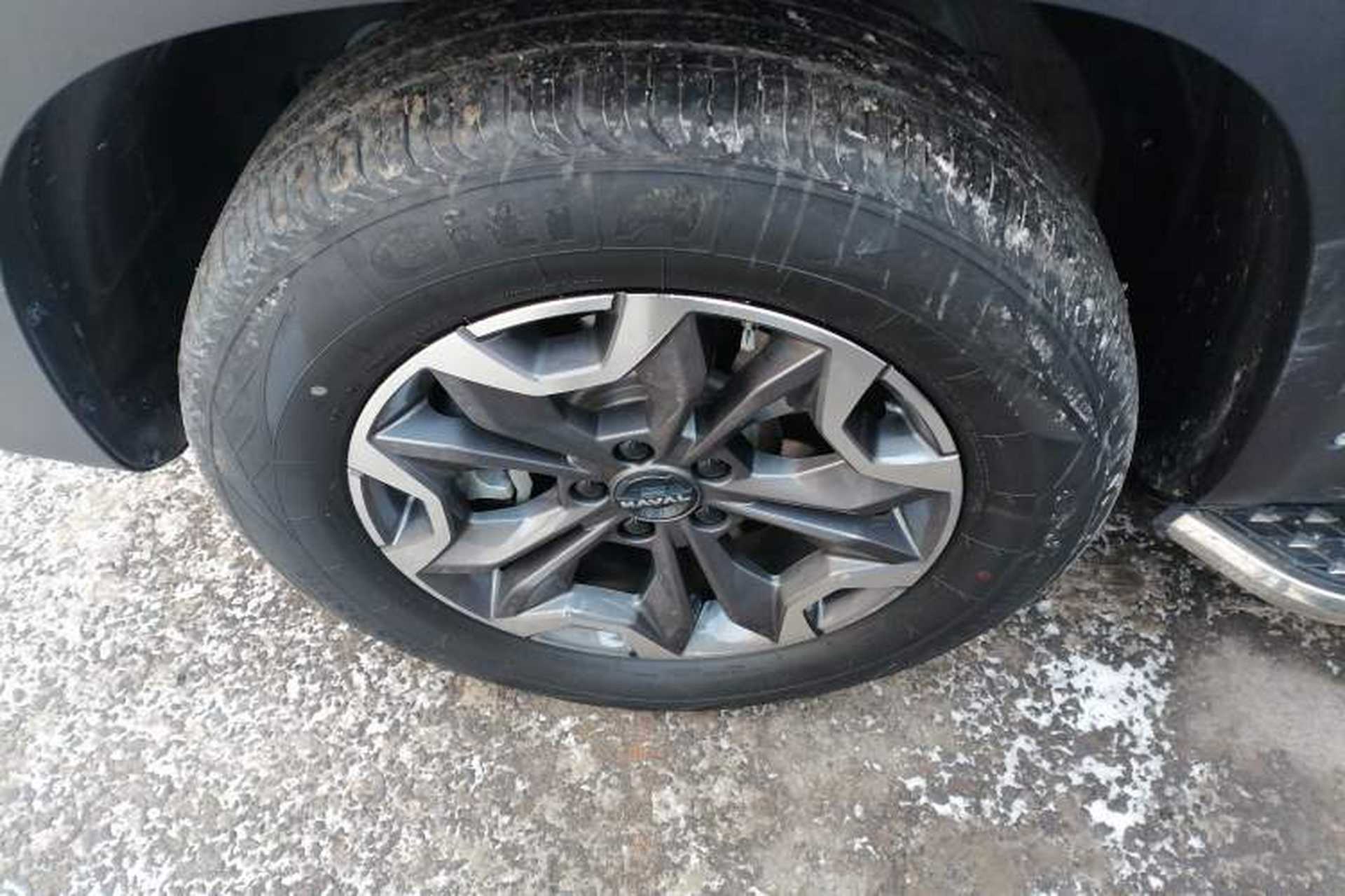 Used Haval DARGO 2024 2.0T DCT Chinese Rural Dog Edition Exterior 4