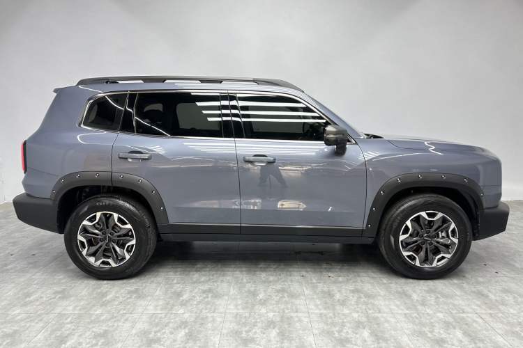 Used Haval DARGO 2024 2.0T DCT Chinese Rural Dog Edition Exterior 6