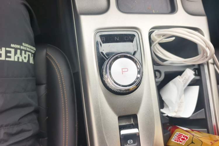 Used Haval DARGO 2024 2.0T DCT Chinese Rural Dog Edition Gear Lever