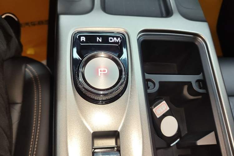 Used Haval DARGO 2024 2.0T DCT Chinese Rural Dog Edition Gear Lever