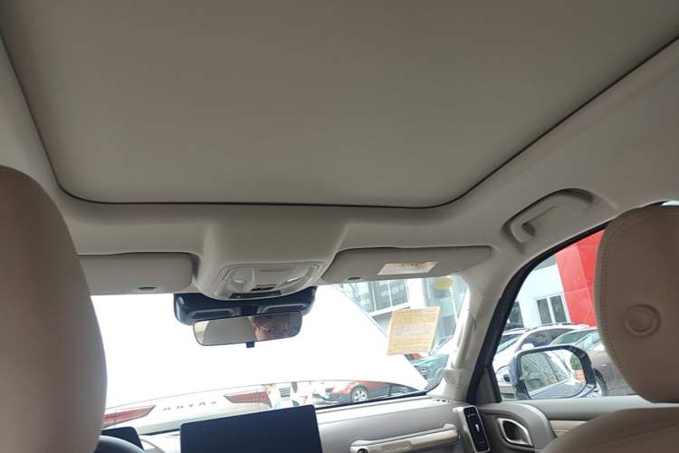 Used Haval DARGO 2024 1.5T DCT Border Collie Edition Headliner