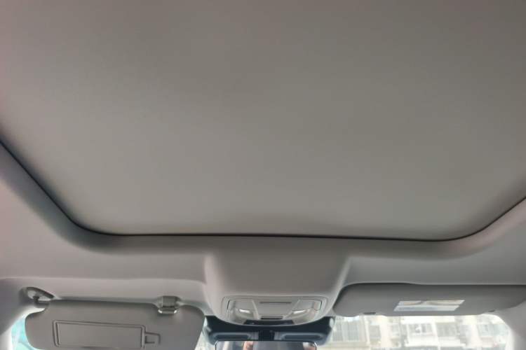 Used Haval DARGO 2024 2.0T DCT Chinese Rural Dog Edition Headliner