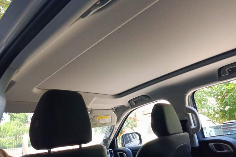 Used Haval DARGO 2024 2.0T DCT Chinese Rural Dog Edition Headliner