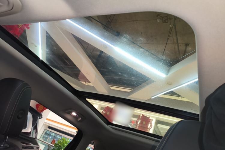 Used Haval DARGO 2024 2.0T DCT Chinese Rural Dog Edition Headliner