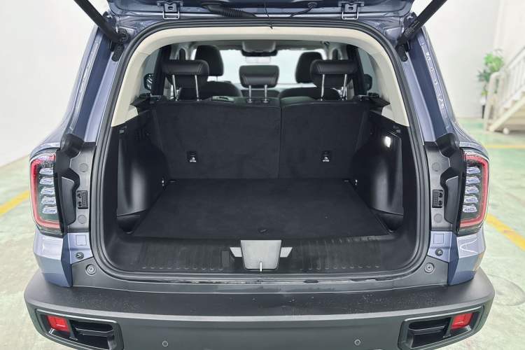 Used Haval DARGO 2024 2.0T DCT Chinese Rural Dog Edition Interior 2
