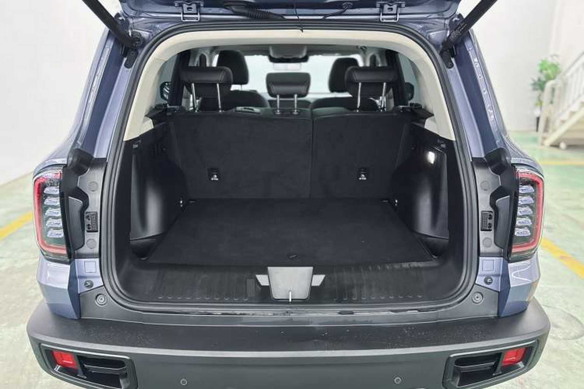 Used Haval DARGO 2024 2.0T DCT Chinese Rural Dog Edition Interior 2