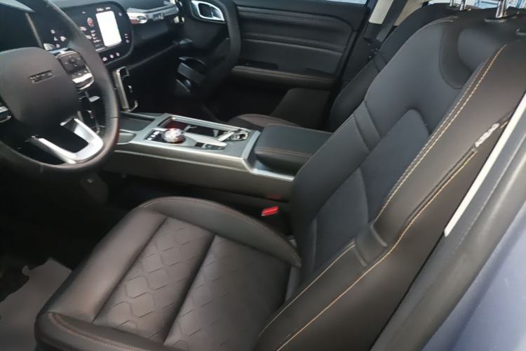 Used Haval DARGO 2024 2.0T DCT Chinese Rural Dog Edition Left Front Seat