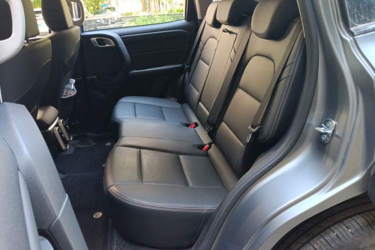 Used Haval DARGO 2024 2.0T DCT Chinese Rural Dog Edition Left Rear Seat