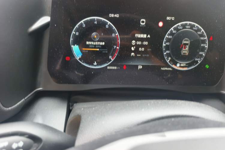 Used Haval DARGO 2024 2.0T DCT Chinese Rural Dog Edition Odometer Close Up