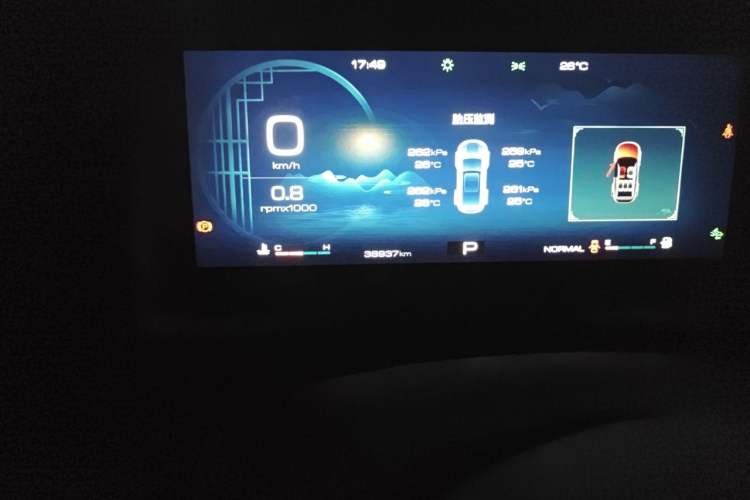 Used Haval DARGO 2024 1.5T DCT Border Collie Edition Odometer Close Up