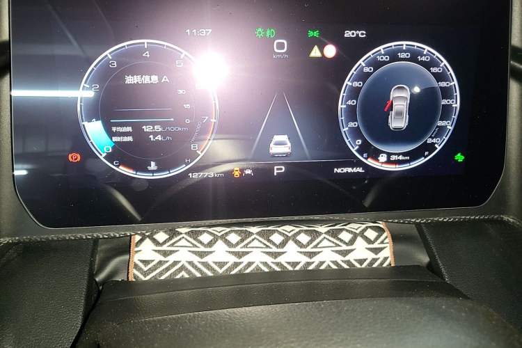 Used Haval DARGO 2024 1.5T DCT Border Collie Edition Odometer Close Up