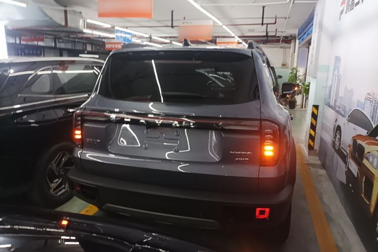 Used Haval DARGO 2024 2.0T DCT Chinese Rural Dog Edition Rear
