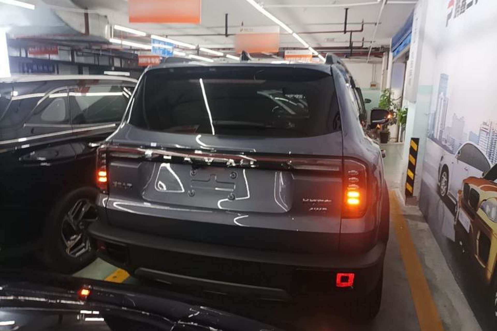 Used Haval DARGO 2024 2.0T DCT Chinese Rural Dog Edition Rear
