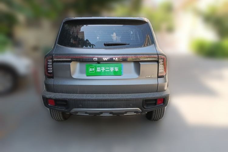 Used Haval DARGO 2024 2.0T DCT Chinese Rural Dog Edition Rear