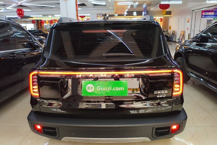 Used Haval DARGO 2024 2.0T DCT Chinese Rural Dog Edition Rear