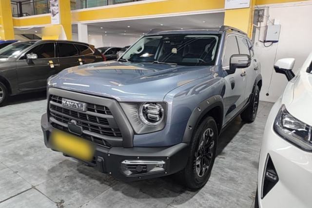 Used Haval DARGO 2024 2.0T DCT Chinese Rural Dog Edition