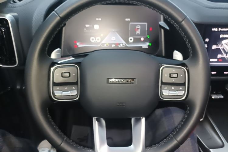 Used Haval DARGO 2024 2.0T DCT Chinese Rural Dog Edition Steering Wheel
