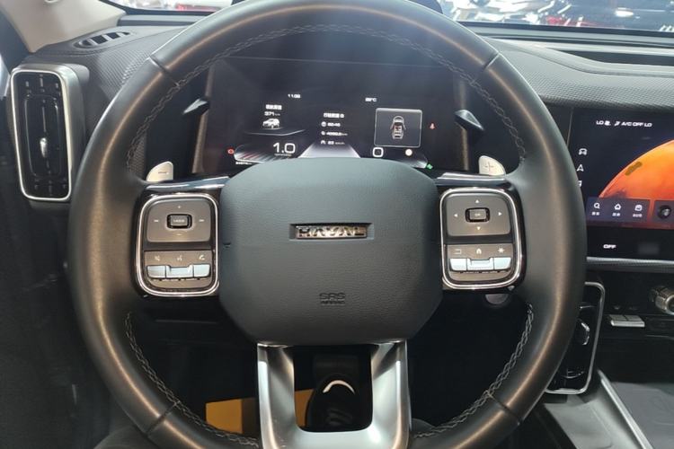 Used Haval DARGO 2024 2.0T DCT Chinese Rural Dog Edition Steering Wheel