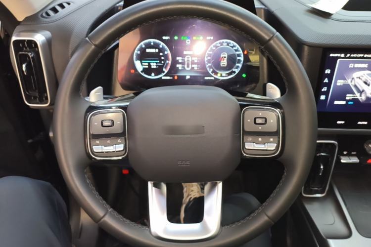Used Haval DARGO 2024 2.0T DCT Chinese Rural Dog Edition Steering Wheel