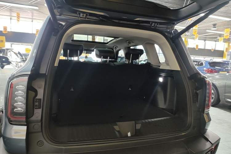 Used Haval DARGO 2024 2.0T DCT Chinese Rural Dog Edition Trunk