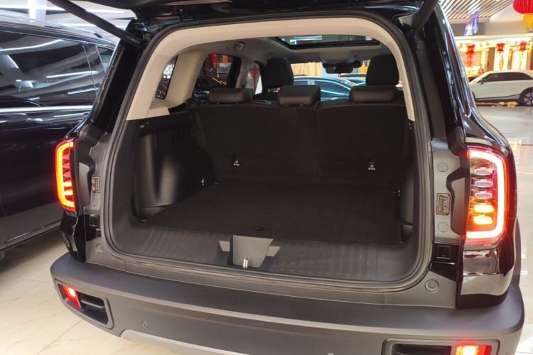 Used Haval DARGO 2024 2.0T DCT Chinese Rural Dog Edition Trunk