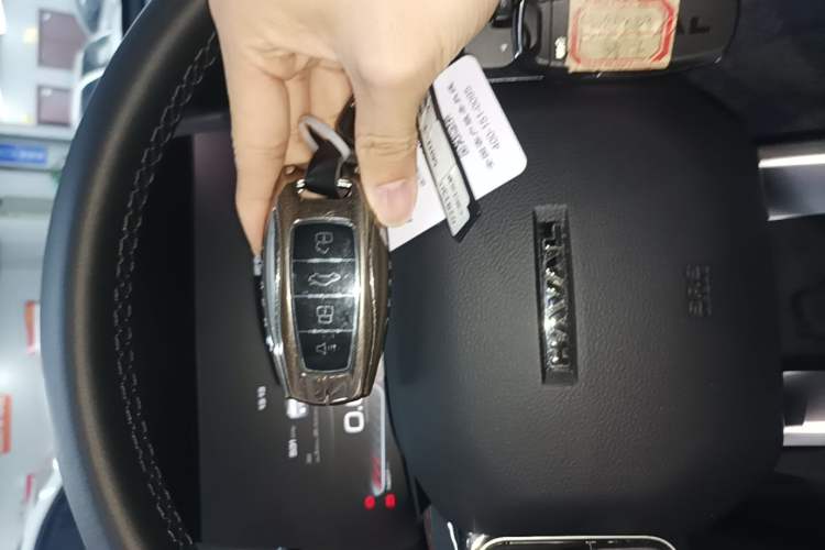 Used Haval DARGO 2024 2.0T DCT Chinese Rural Dog Edition Vehicle Key