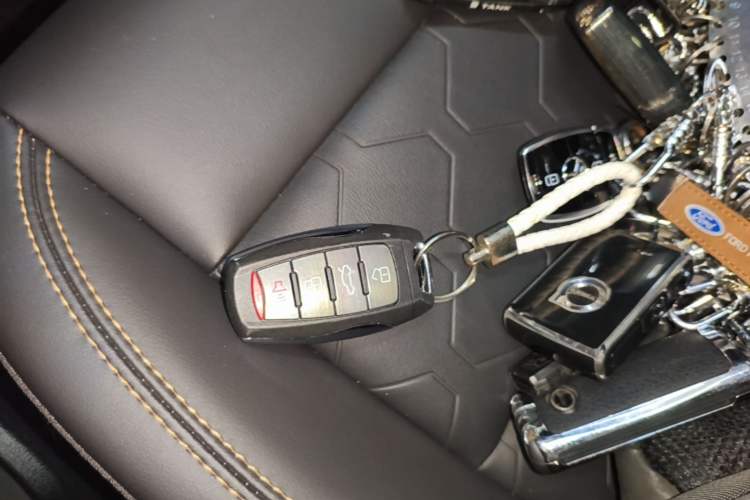 Used Haval DARGO 2024 2.0T DCT Chinese Rural Dog Edition Vehicle Key