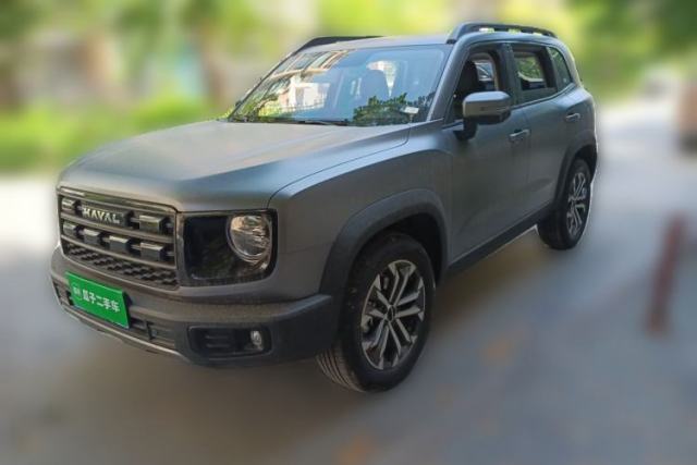 Used Haval DARGO 2024 2.0T DCT Chinese Rural Dog Edition