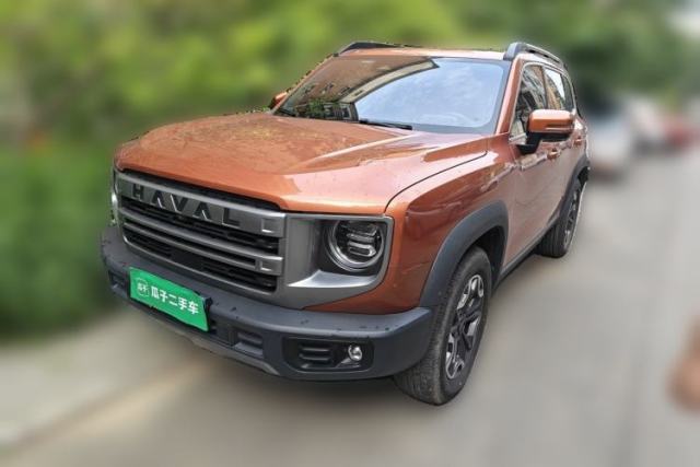 Used Haval DARGO 2024 2.0T DCT Chinese Rural Dog Edition