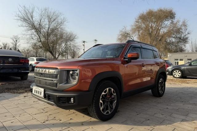 Used Haval DARGO 2024 2.0T DCT Chinese Rural Dog Edition