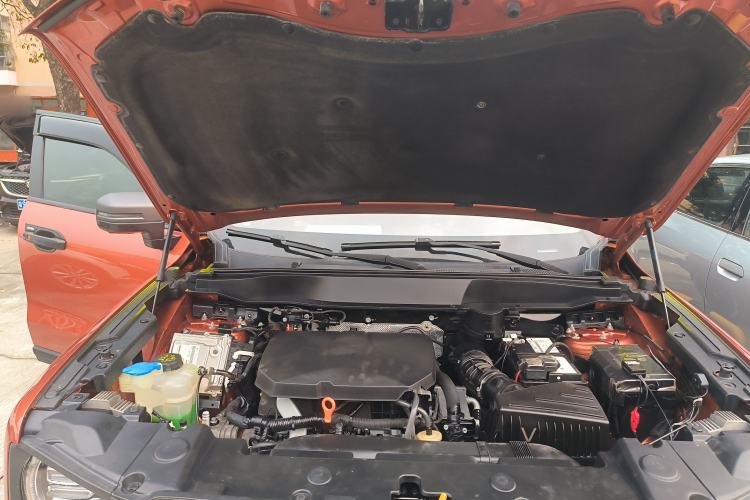 Used Haval DARGO 2024 2.0T DCT Chinese Rural Dog Edition Engine Bay
