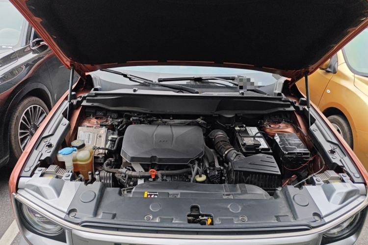 Used Haval DARGO 2024 2.0T DCT Chinese Rural Dog Edition Engine Bay