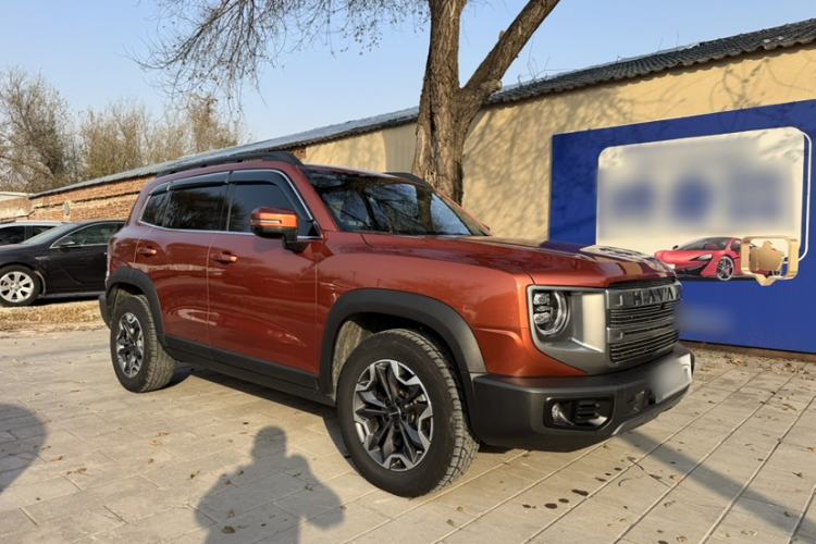Used Haval DARGO 2024 2.0T DCT Chinese Rural Dog Edition Exterior 2