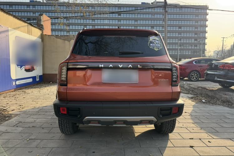 Used Haval DARGO 2024 2.0T DCT Chinese Rural Dog Edition Exterior 4