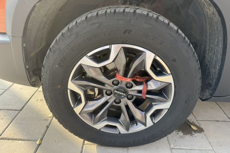 Used Haval DARGO 2024 2.0T DCT Chinese Rural Dog Edition Exterior 6