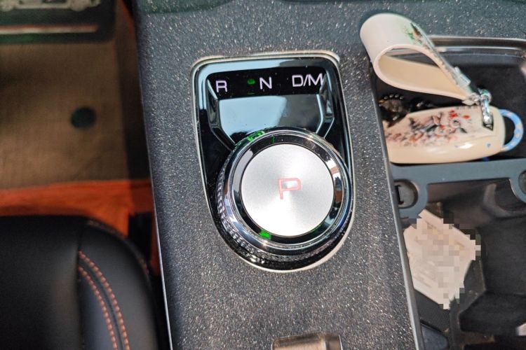 Used Haval DARGO 2024 2.0T DCT Chinese Rural Dog Edition Gear Lever