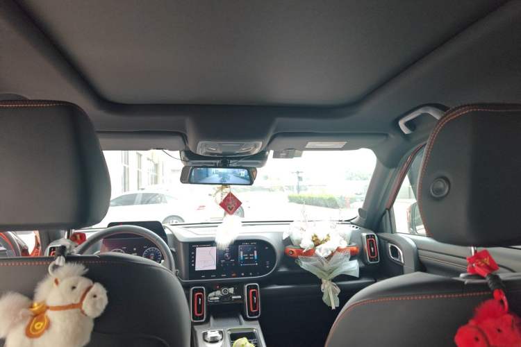 Used Haval DARGO 2024 1.5T DCT Border Collie Edition Headliner