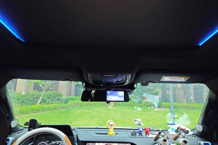 Used Haval DARGO 2024 2.0T DCT Chinese Rural Dog Edition Headliner