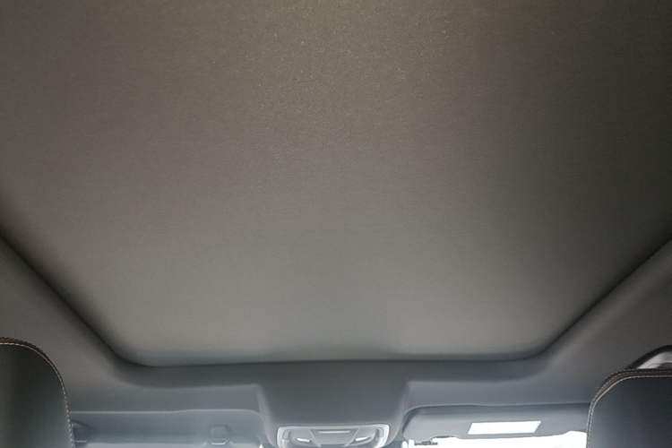 Used Haval DARGO 2024 2.0T DCT Chinese Rural Dog Edition Headliner