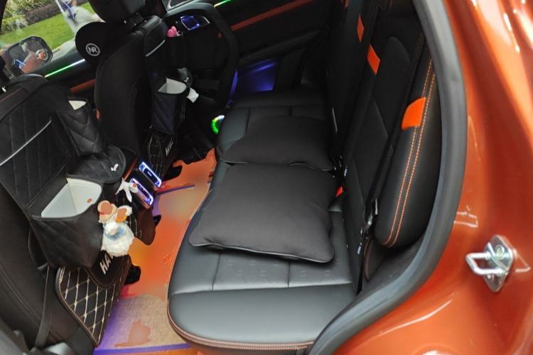 Used Haval DARGO 2024 2.0T DCT Chinese Rural Dog Edition Left Rear Seat