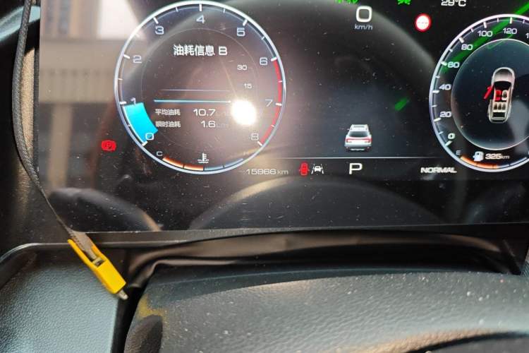 Used Haval DARGO 2024 2.0T DCT Chinese Rural Dog Edition Odometer Close Up