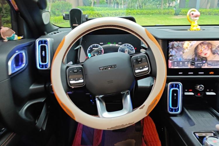 Used Haval DARGO 2024 2.0T DCT Chinese Rural Dog Edition Steering Wheel