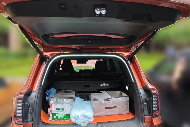 Used Haval DARGO 2024 2.0T DCT Chinese Rural Dog Edition Trunk