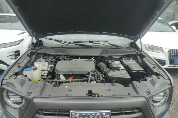 Used Haval DARGO 2024 2.0T DCT Chinese Rural Dog Edition Engine Bay